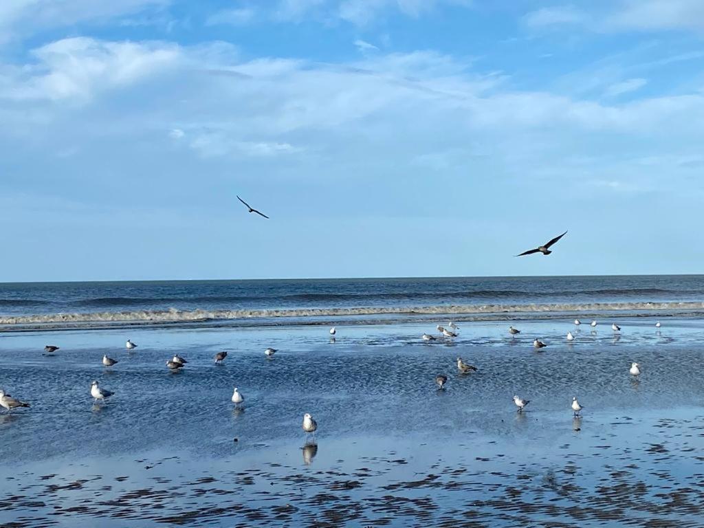 L'Escale à Deauville Exterior foto